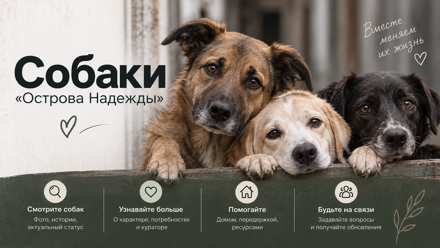 Собаки «Острова Надежды». Вместе меняем их жизнь: смотрите собак, узнавайте больше, помогайте и будьте на связи.